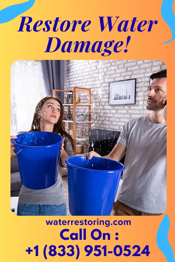 water restoration Precision Drying Authority Sinclairville