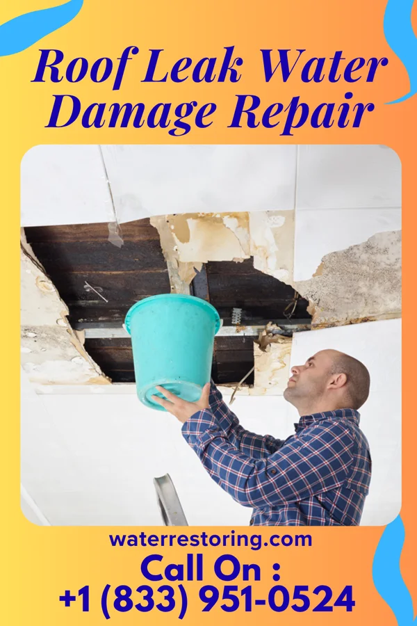 Roof Leak Water Damage Repair in Sinclairville, NY