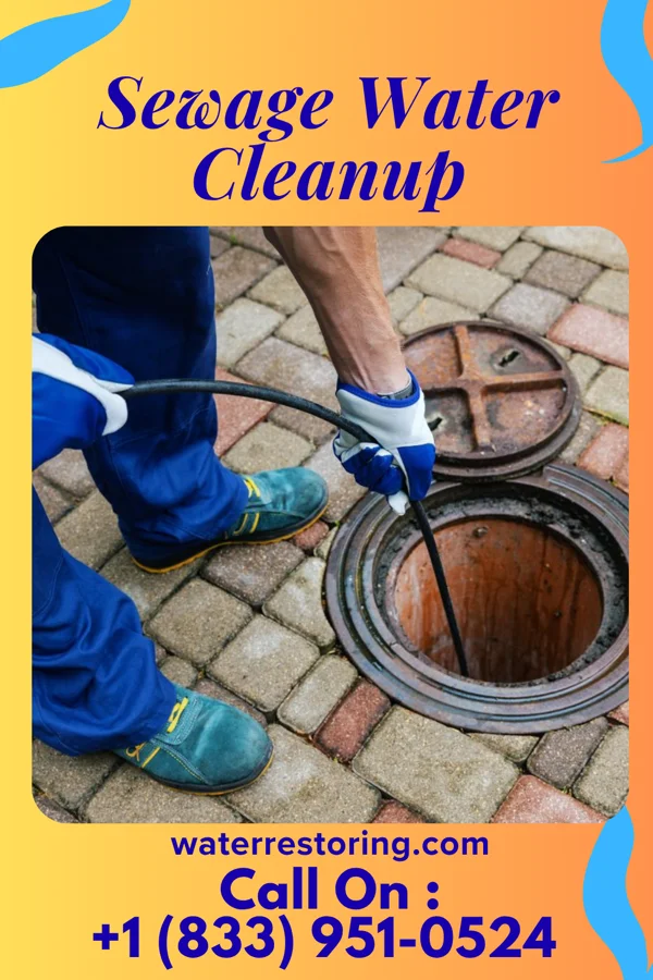 Sewage Water Cleanup in Sinclairville, NY